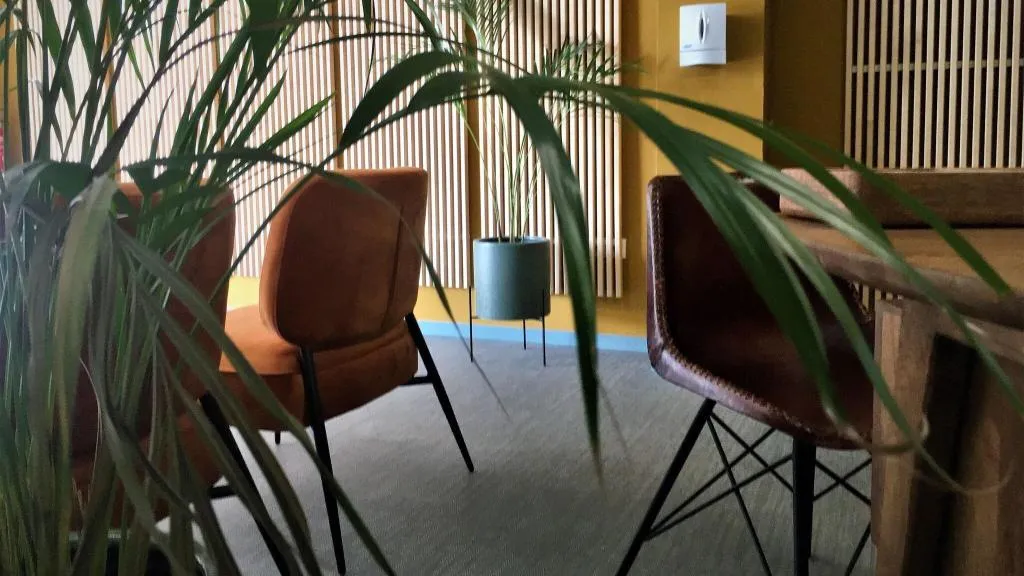 Lobby, B&B Mare de Deu Jardines del Turia, Valencia
