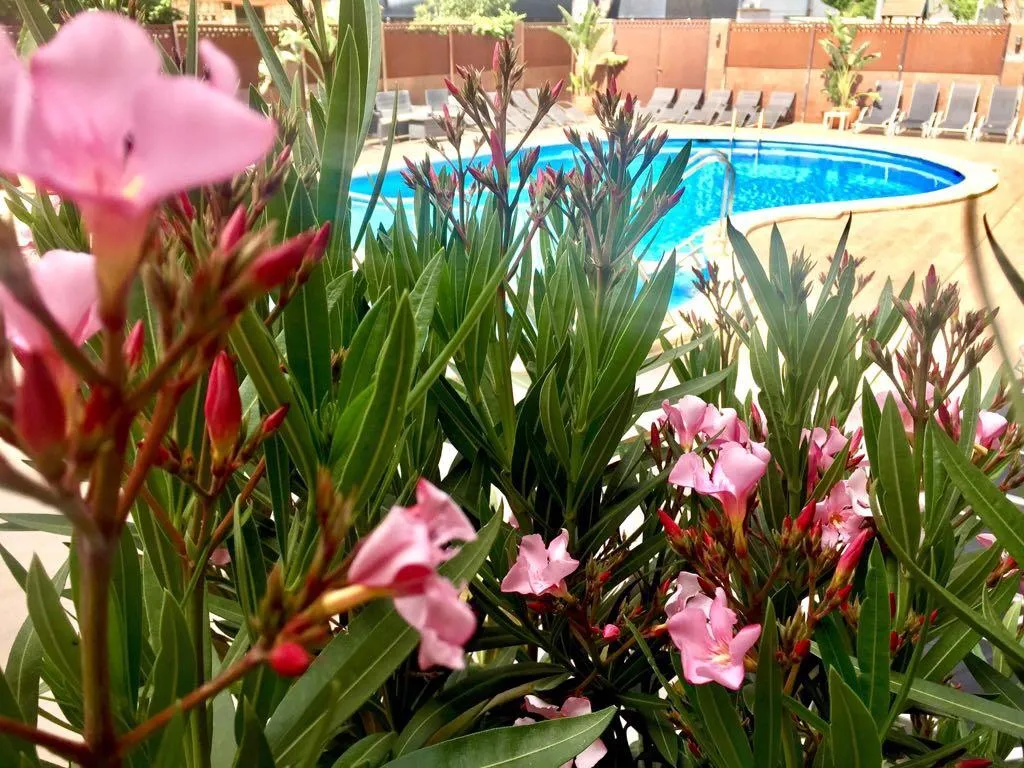 Pool, Stella Maris, Costa Brava