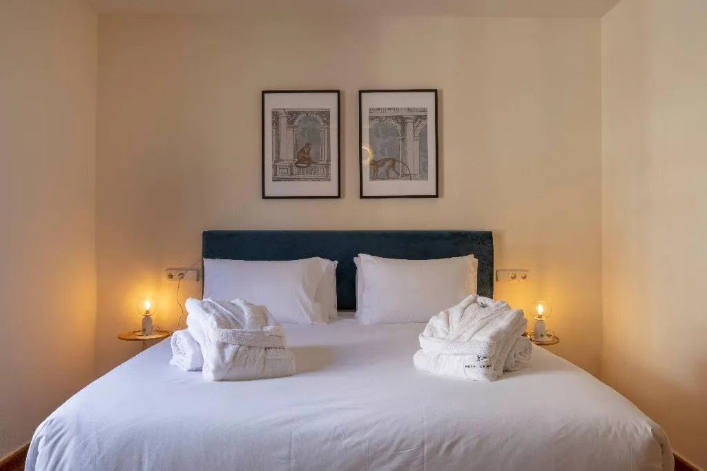 DOUBLE SINGLE USE SUPERIOR Room, Hotel Cetina Palacio Ayala Berganza, Madrid