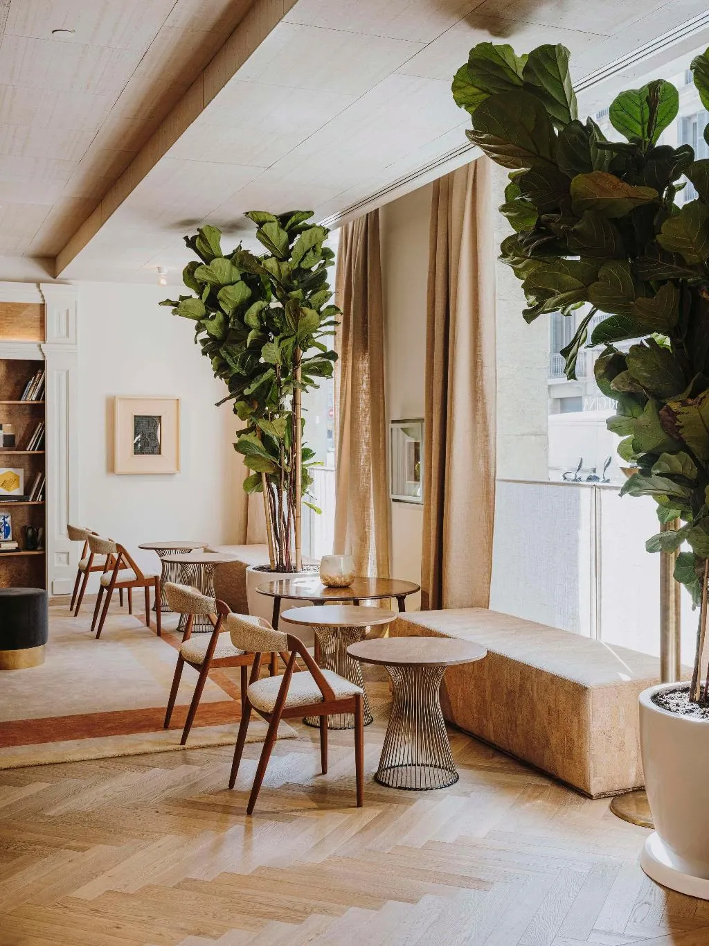Bar, Regina, Barcelona