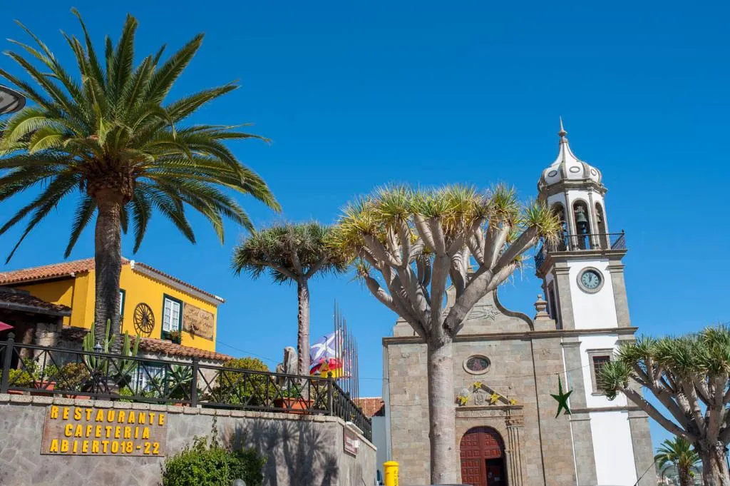 General view, Senderos de Abona, Tenerife