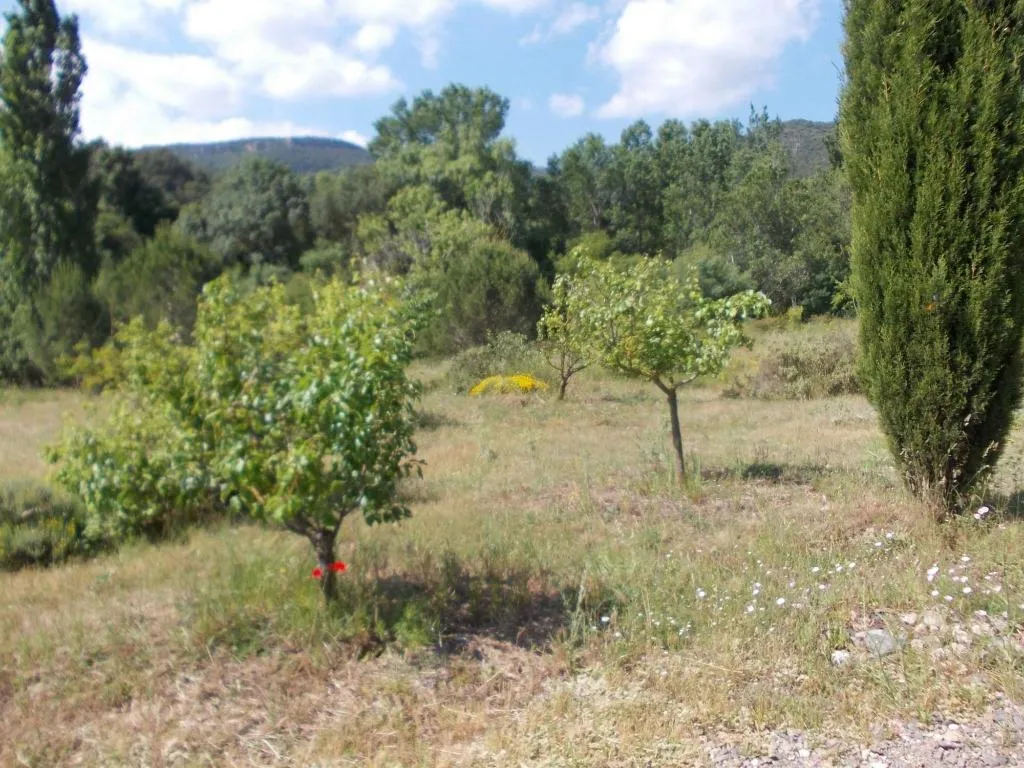 General view, Maset De Les Talaveres, Costa Dorada