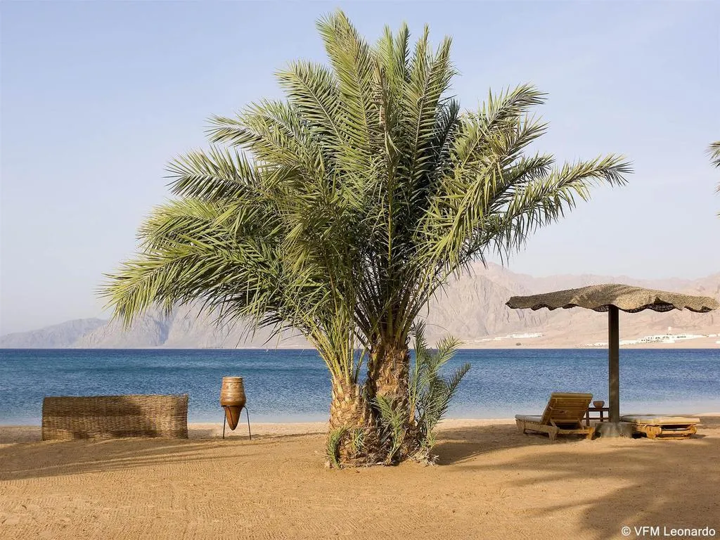 Beach, Dahab Lagoon Club & Resort, Red Sea Riviera