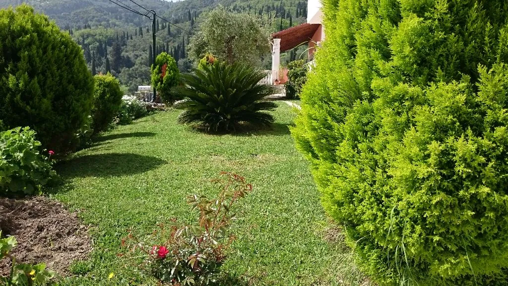 General view, Roza studios, Corfu