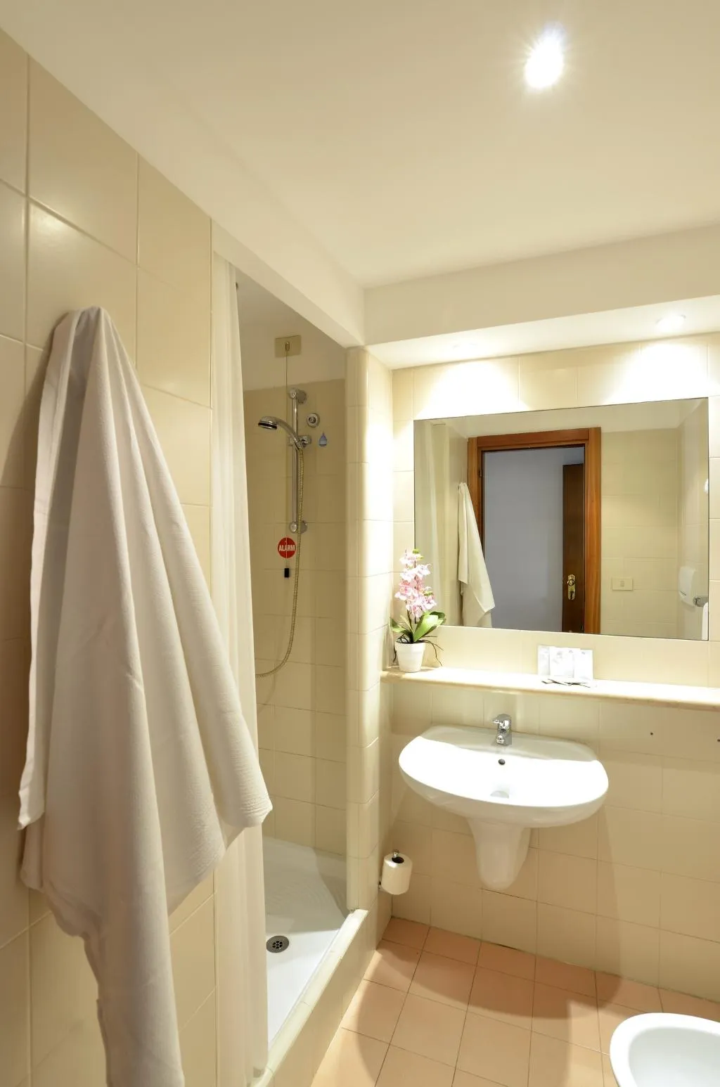 Room, Hotel Tex, Rome