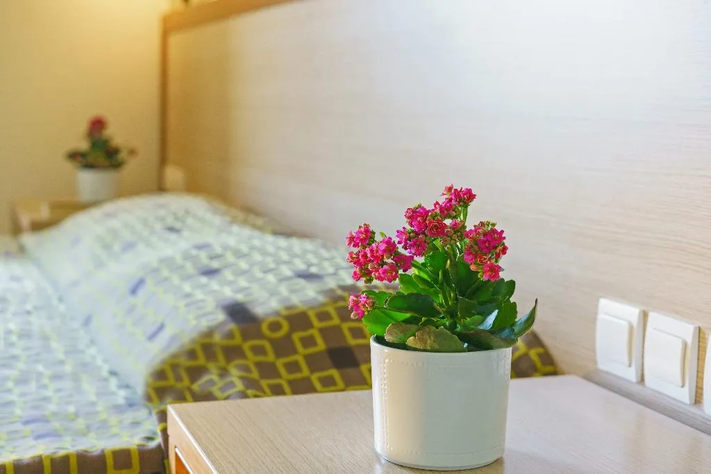 Room, Alianthos Beach Hotel, Crete