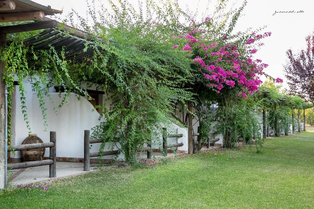DOUBLE STANDARD Room, Ardea Purpurea, Andalucia