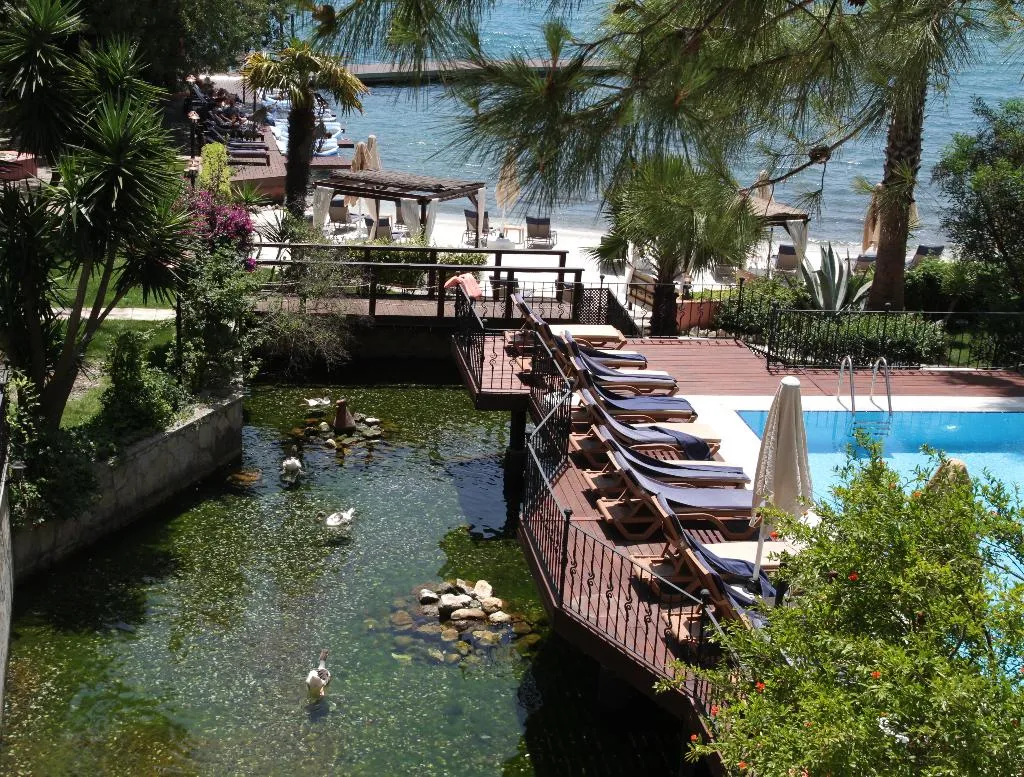 Pool, Baga Hotel, Dalaman