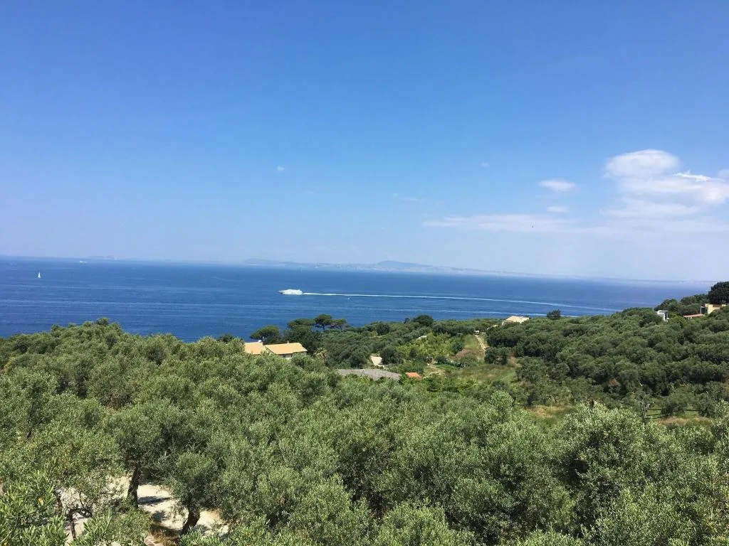 General view, Dania, Naples