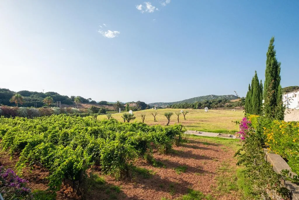 Terrace, Hort Sant Patrici, Menorca
