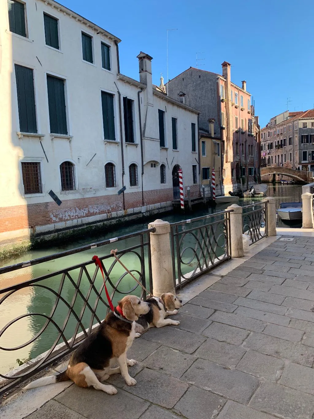 General view, Palazzo Contarini Della Porta Di Ferro Hotel, Venice