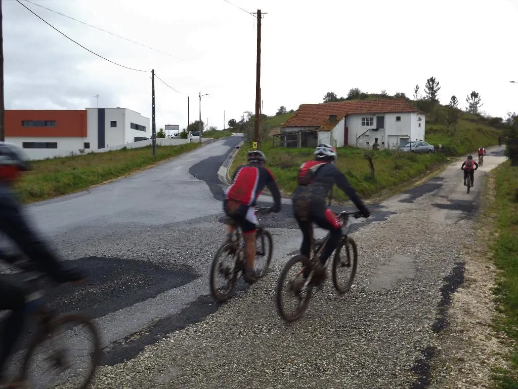 Sports and Entertainment, Casa Ceedina Bed and Breakfast, Porto