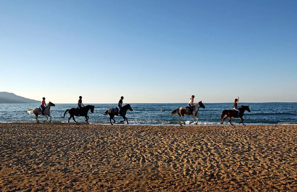 Beach, Orpheas Resort, Crete