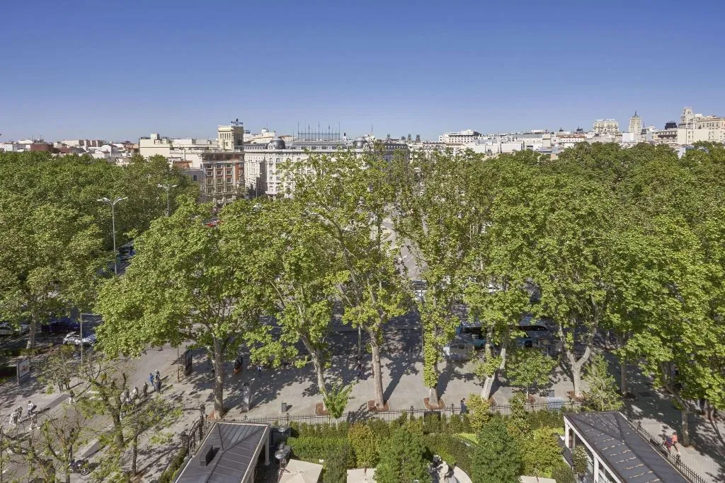 Room, Mandarin Oriental Ritz, Madrid, Madrid
