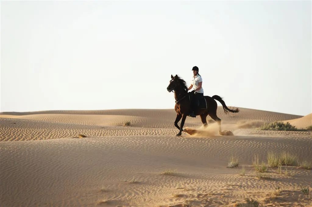 General view, Al Maha, a Luxury Collection Desert Resort & Spa, Dubai