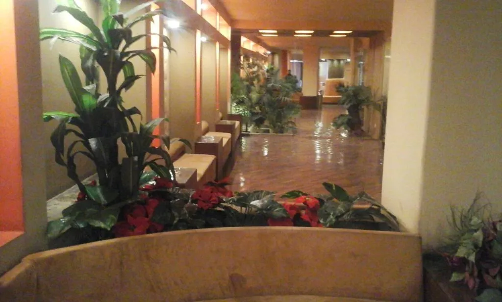 Conferences, Atlas Zamalek, Cairo
