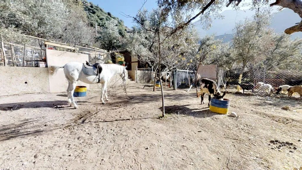Sports and Entertainment, Ferme By Ikalimo, Marrakech