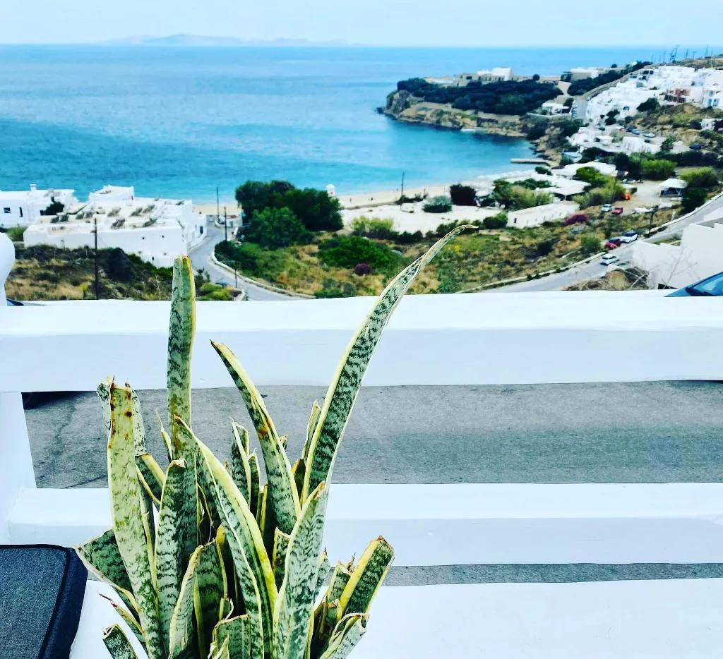 General view, Flaskos Suites, Mykonos