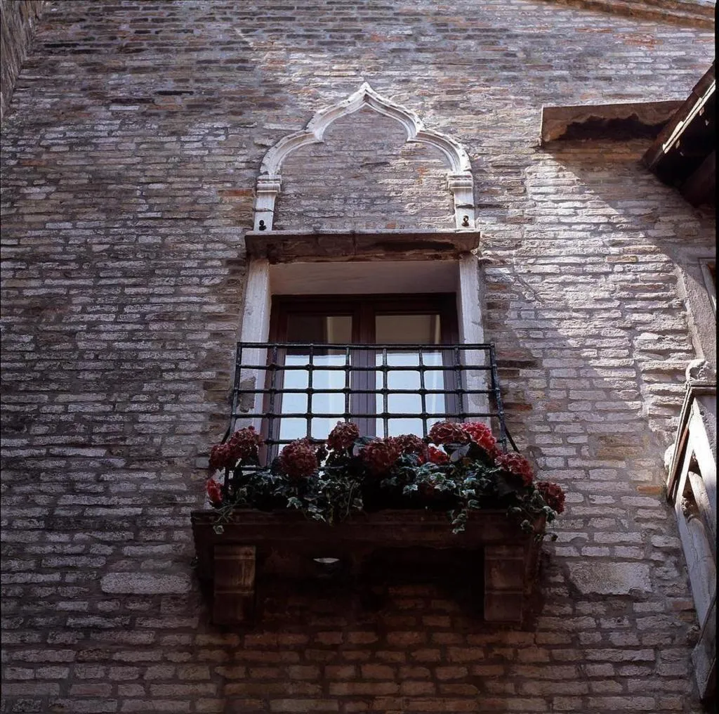 General view, Pausania, Venice