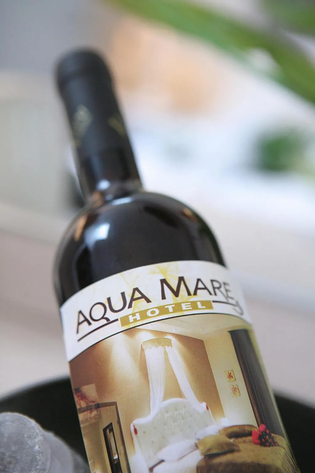 Sports and Entertainment, Aqua Mare Hotel, Halkidiki