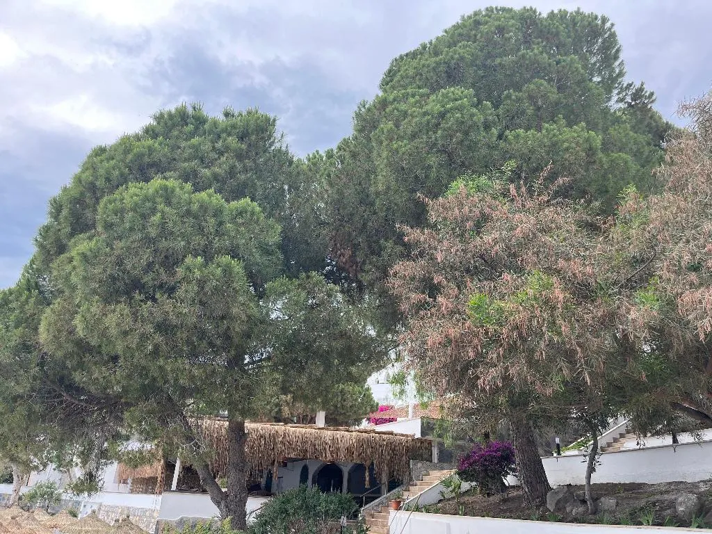 General view, Baska Resort Bodrum, Bodrum