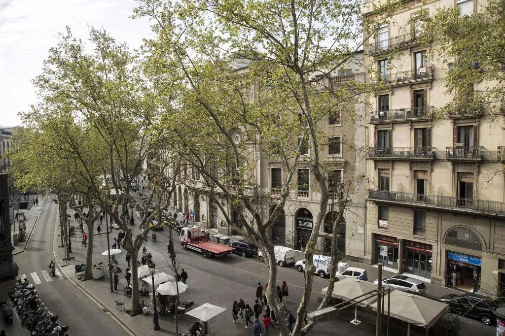Room, Cuatro Naciones, Barcelona