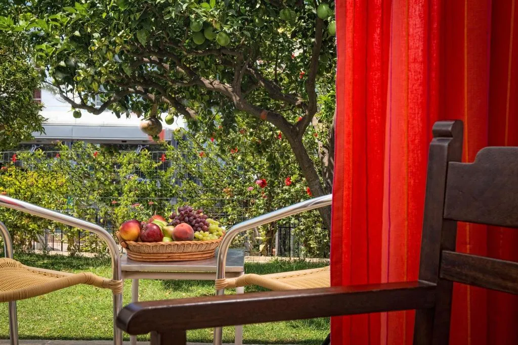Terrace, Malia Holidays, Crete