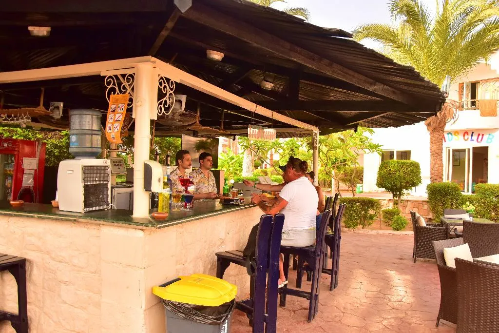 Bar, Dive Inn Resort, Red Sea Riviera