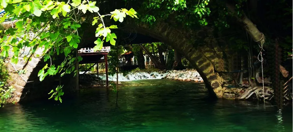 General view, Manastirhan Otel Kazdaglari, Izmir