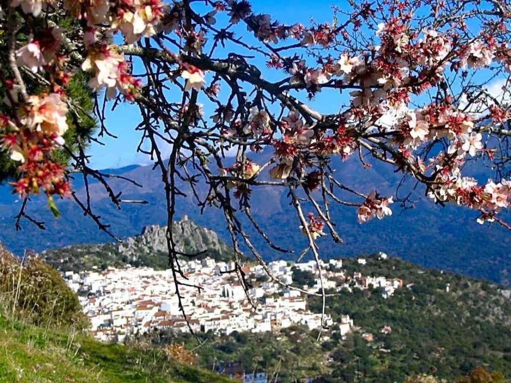 General view, La Fructuosa, Andalucia