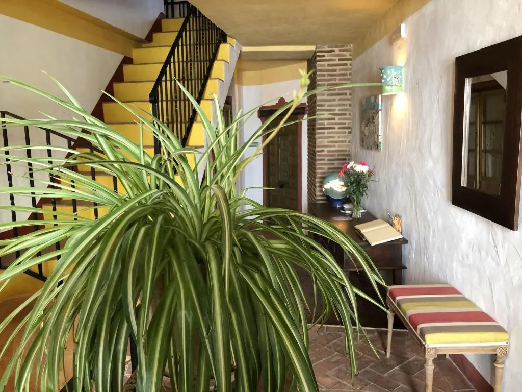 Lobby, La Fructuosa, Andalucia