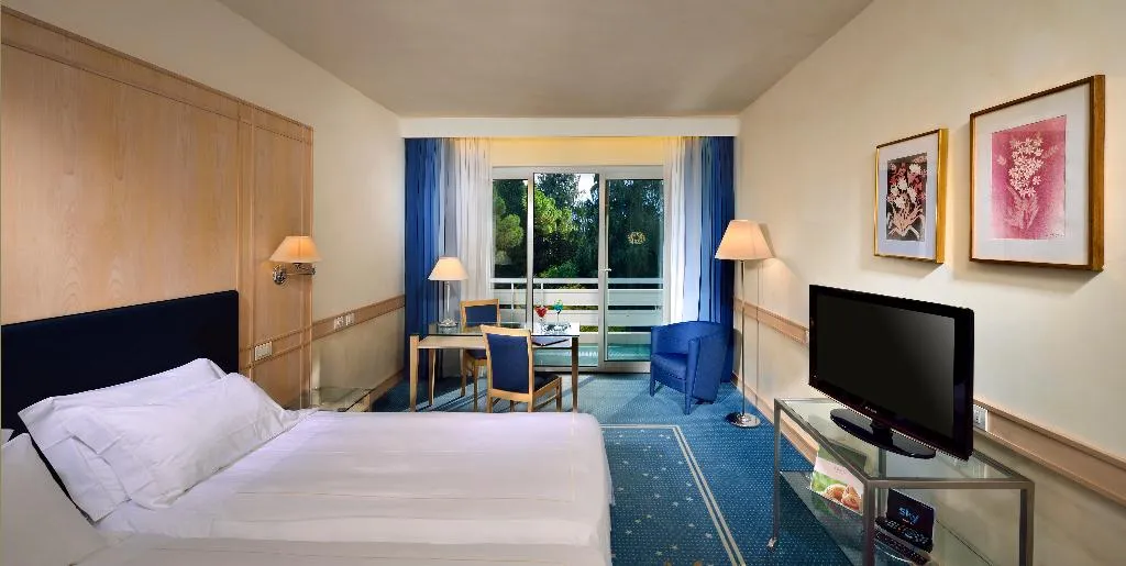 DOUBLE PARK VIEW Room, Grand Resort Du Lac Et Du Parc, Milan