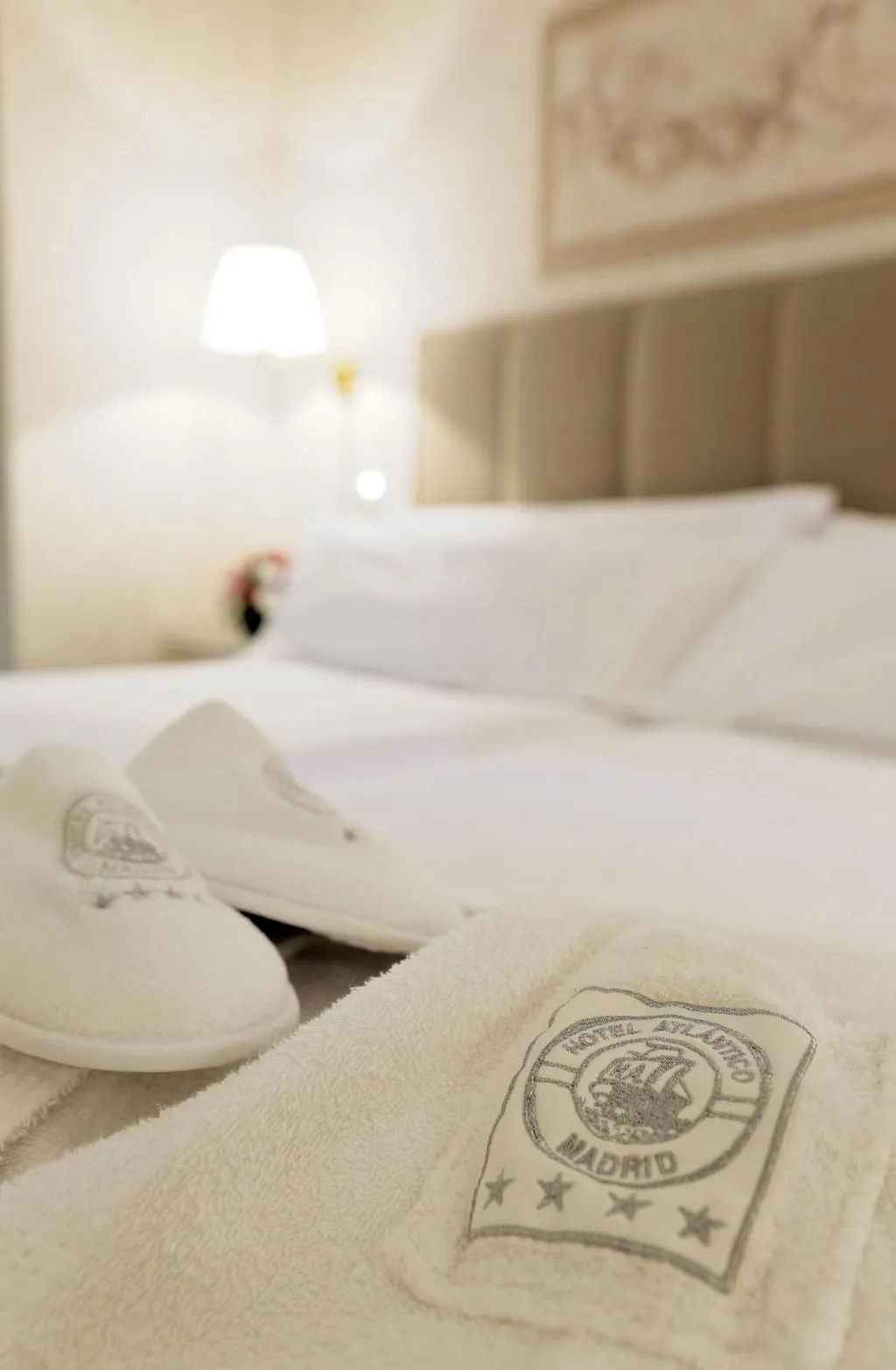 SINGLE STANDARD Room, Hotel Atlantico, Madrid