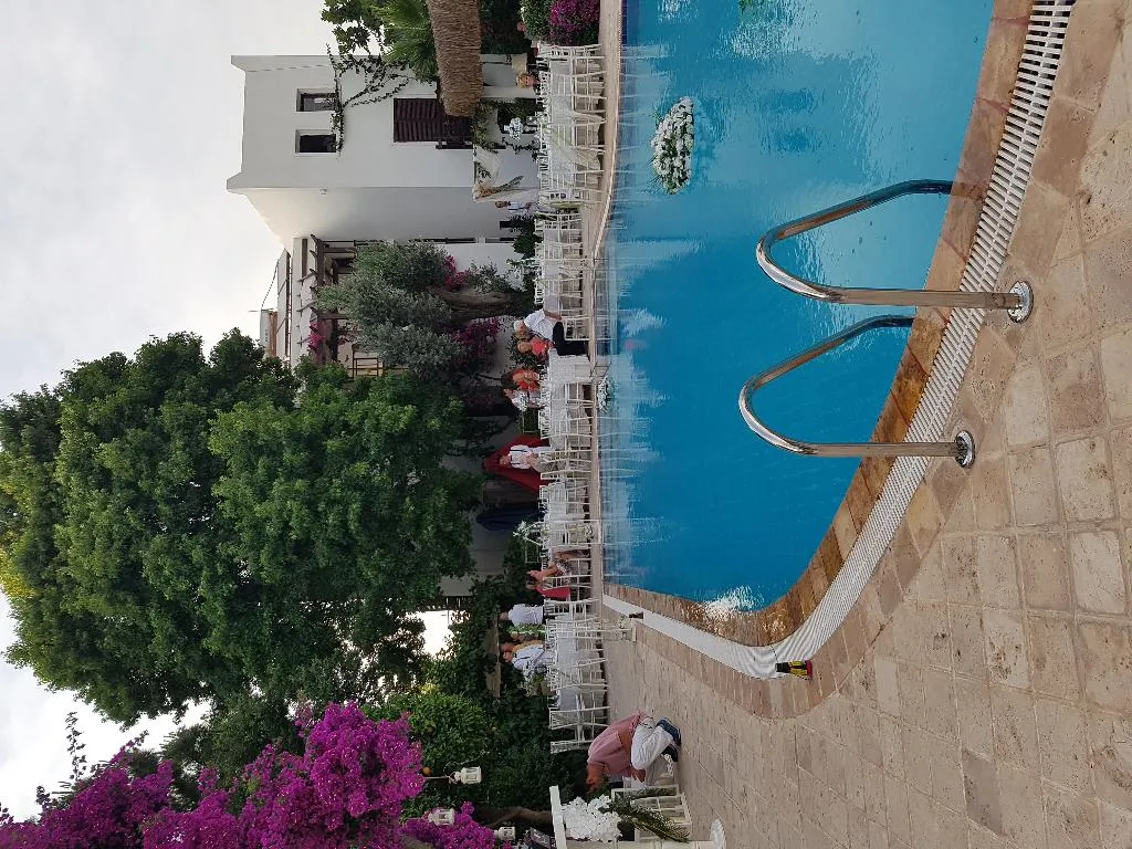 Pool, Ece Hotel Bodrum, Bodrum