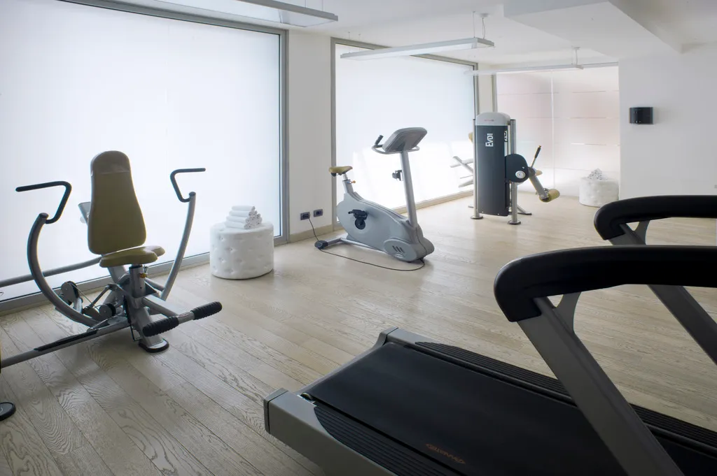 Sports and Entertainment, Domina Milano Fiera, Milan