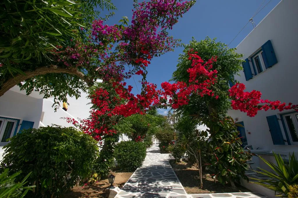 General view, Acrogiali, Mykonos