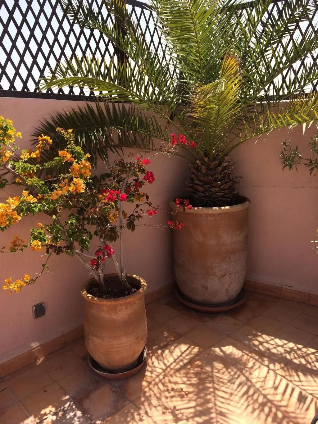 Terrace, Riad Irene, Marrakech