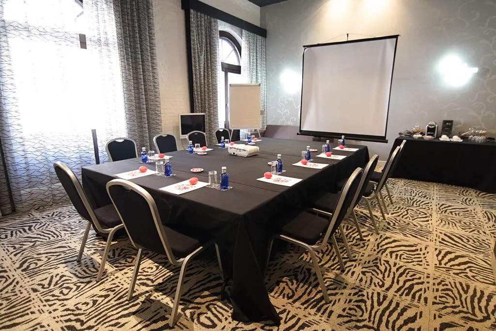 Conferences, Petit Palace Savoy Alfonso XII, Madrid