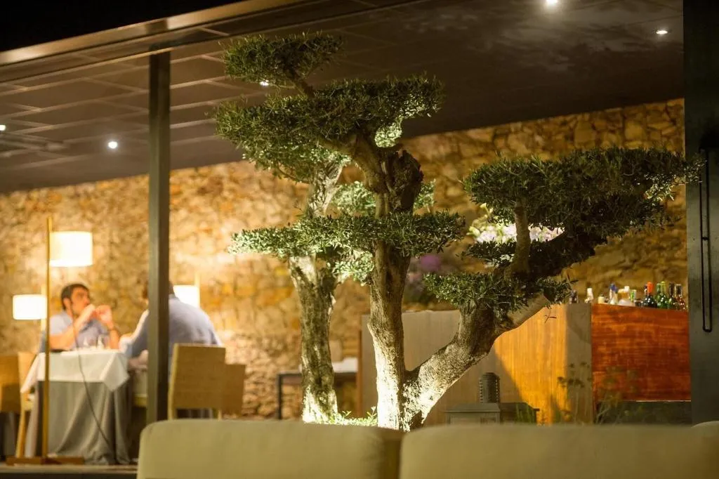 Restaurant, Hotel Del Teatre - Adults Only, Costa Brava