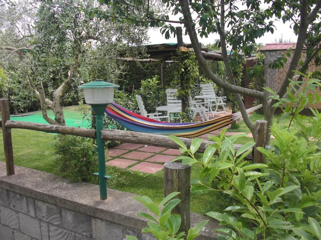 General view, B&B Green Paradise, Naples