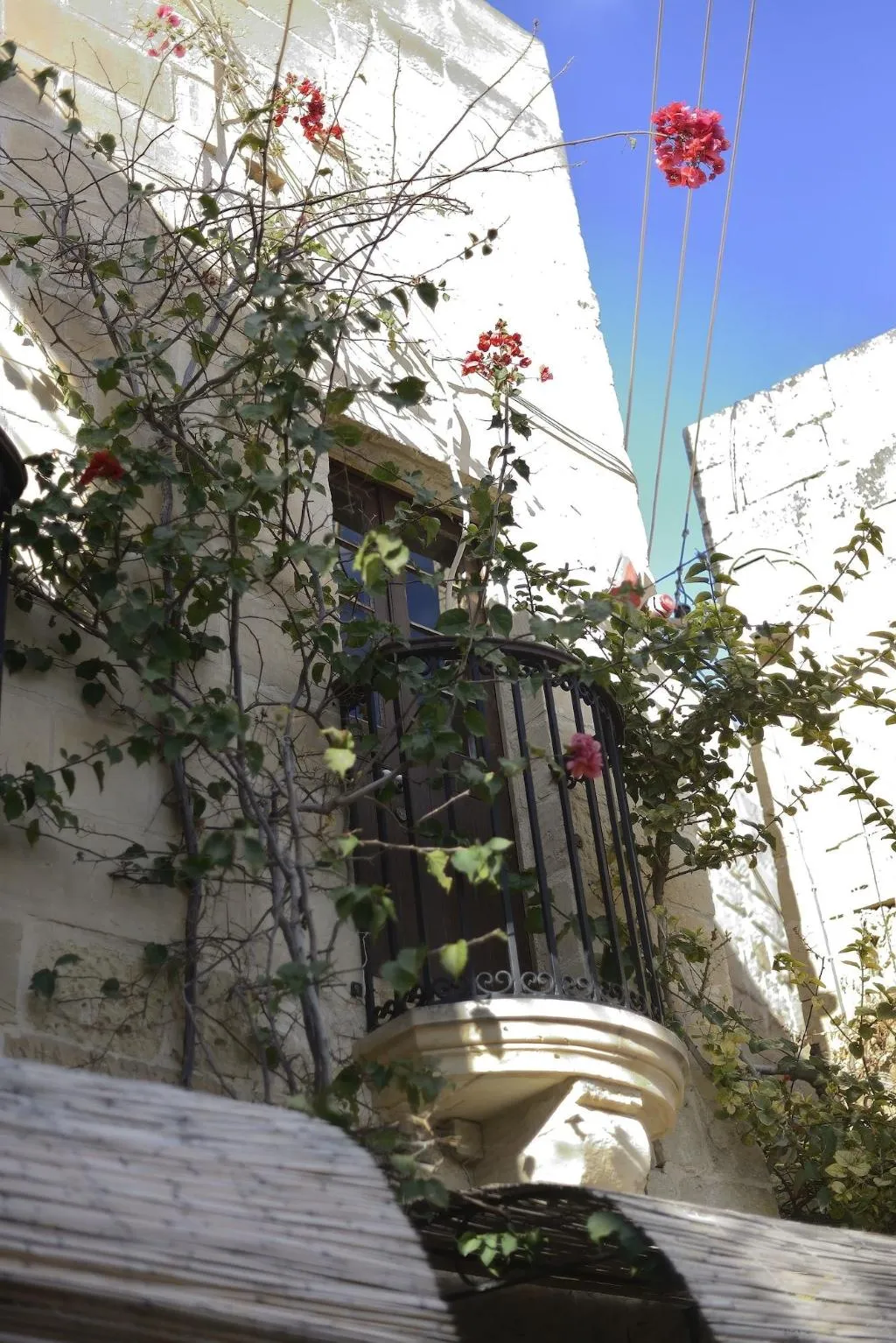 General view, The Burrow Guest House, Malta