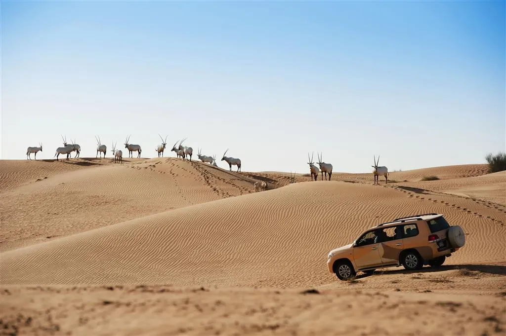 General view, Al Maha, a Luxury Collection Desert Resort & Spa, Dubai