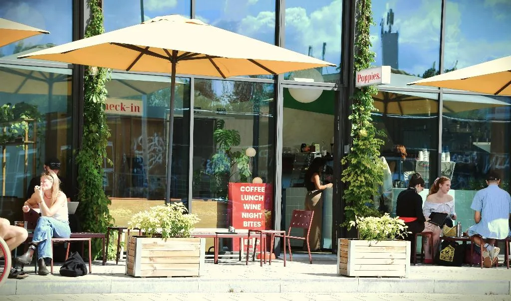 Terrace, Poppies, Amsterdam
