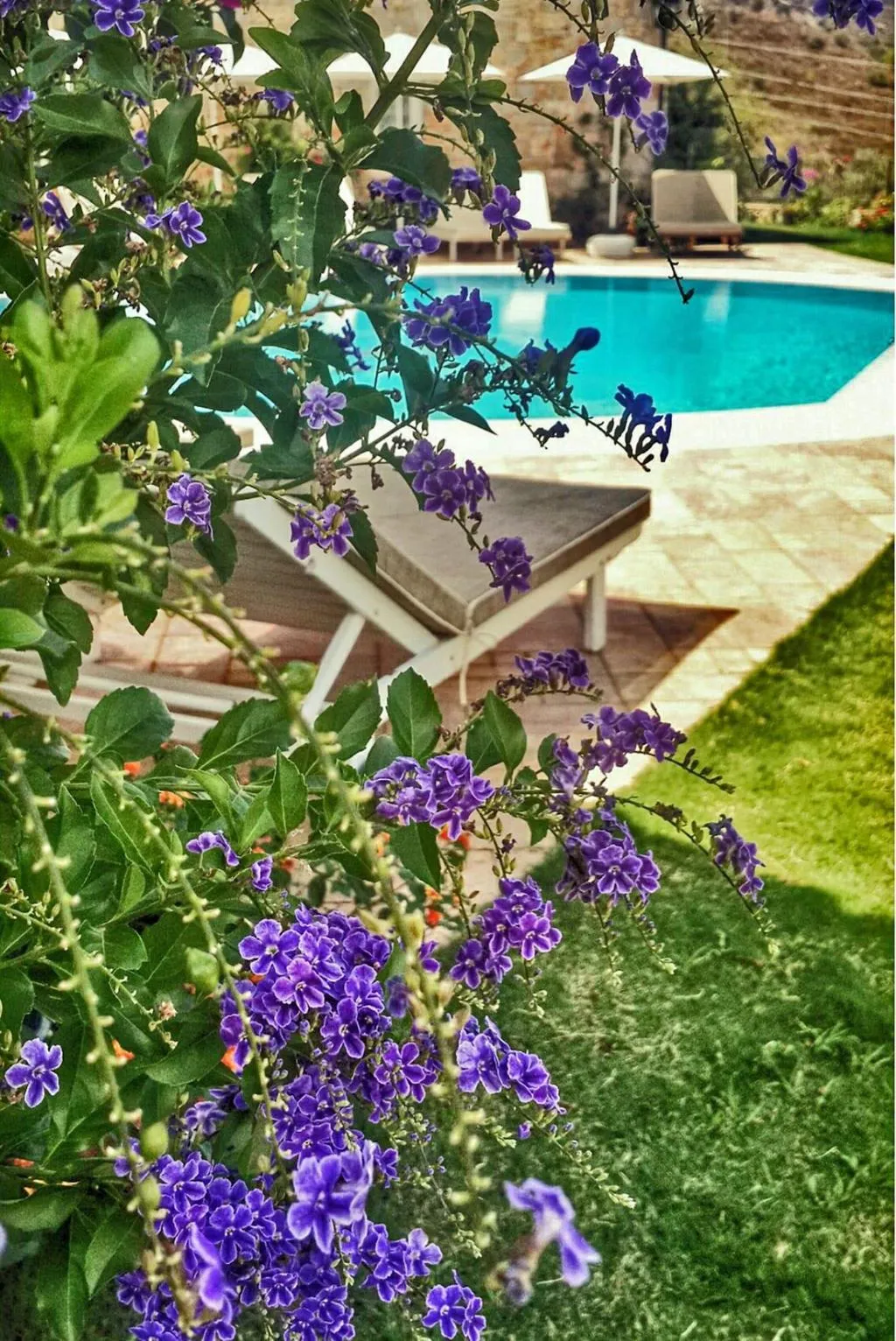 Sports and Entertainment, Swan Lake Boutique Hotel - Adults Only, Dalaman