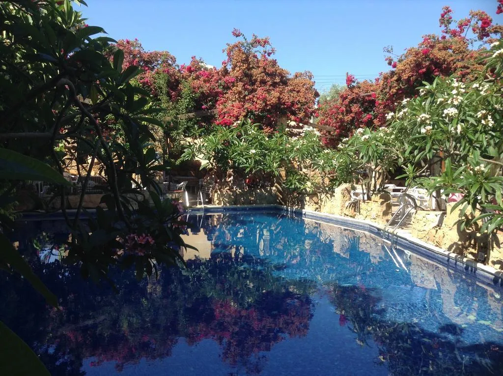 Pool, Roman, Cyprus