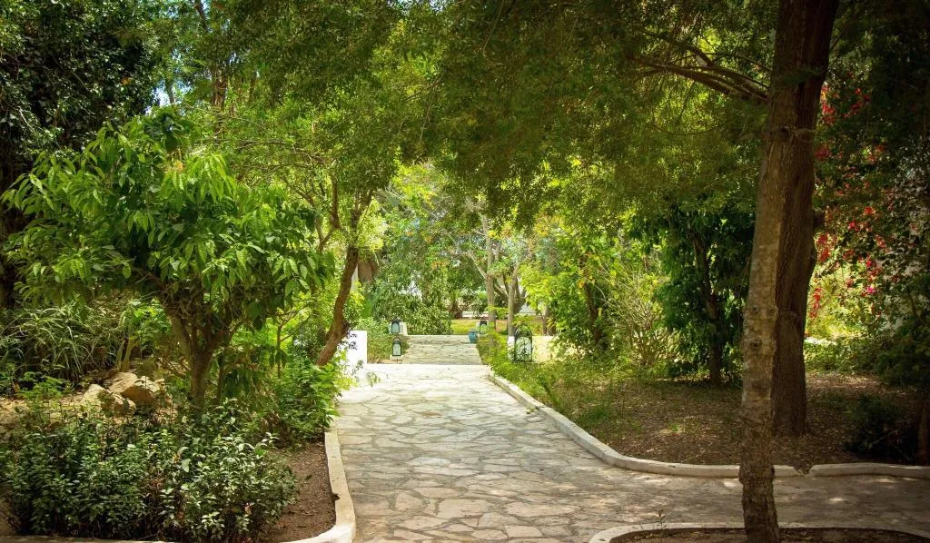 Terrace, Bel Azur Thalasso & Bungalows, Tunisia