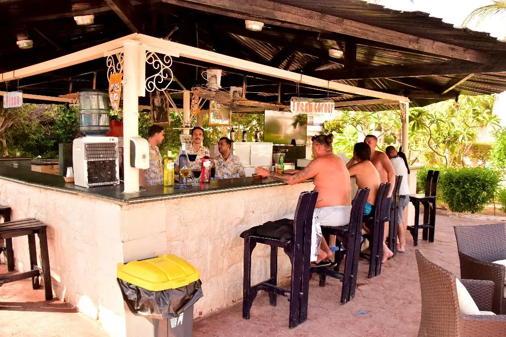Bar, Dive Inn Resort, Red Sea Riviera