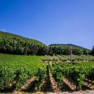 Cantina Semonte Wine Resort, Umbria