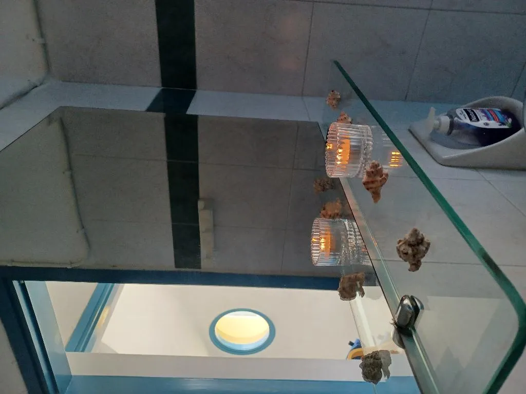 APARTMENT CAPACITY 2 Room, Olympic Star, Crete