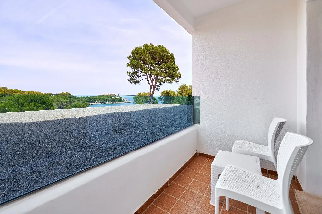 DOUBLE SINGLE USE STANDARD Room, AluaSoul Hotel Carolina, Majorca